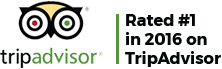 Rated #1 in 2016 on TripAdvisor