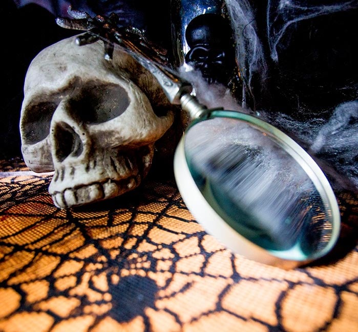 A plastic skull and magnifying glass in a Halloween display.