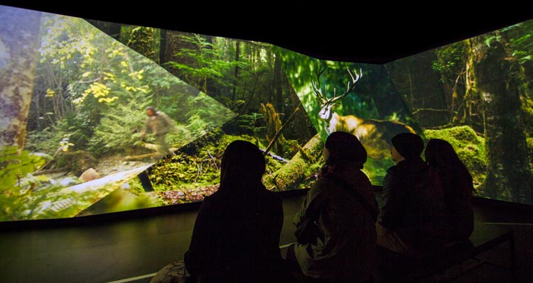 A group of people in the UpLift experience, watching screens of parks and trees.