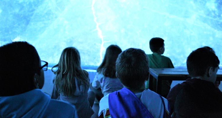 Kids sit to watch a video on a big screen.