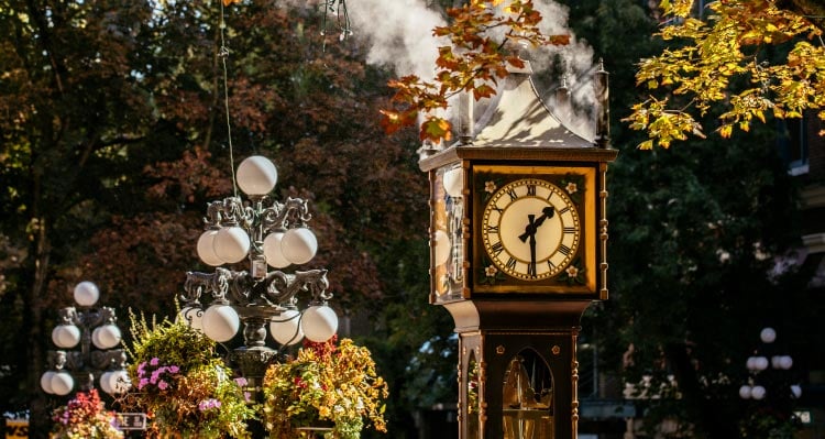 A small clock tower sits below trees with steam rising from its top.