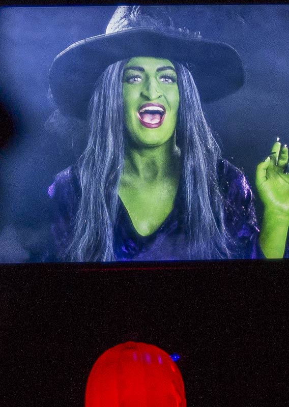 the witchy q a an interview with the wicked witch of the whats a trade school