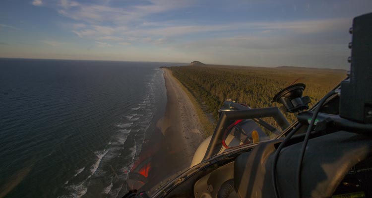 A long beach borders between open ocean and green forest.