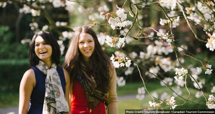 Two women walk beneath blooming cherry trees.
