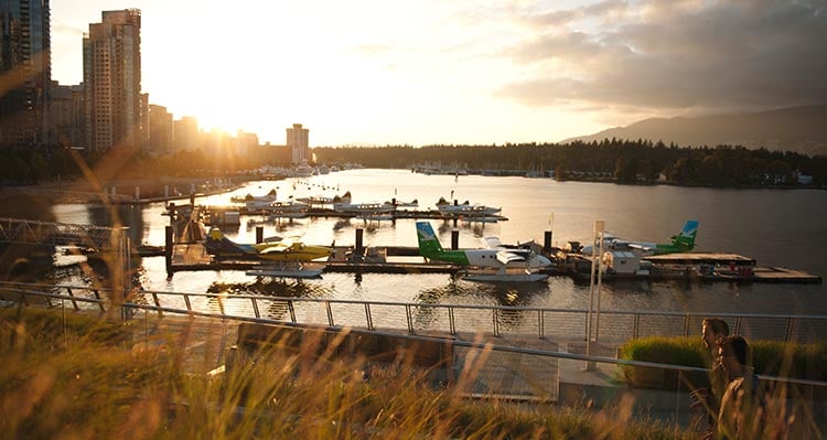 A view through grass onto a calm harbour with float planes.