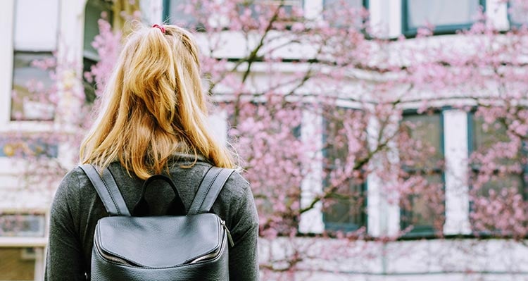 A view from behind a person looking at pink cherry blossoms on trees.