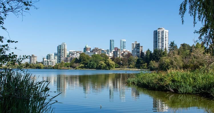 A view of a lagoon through wildflowers towards downtown Vancouver.