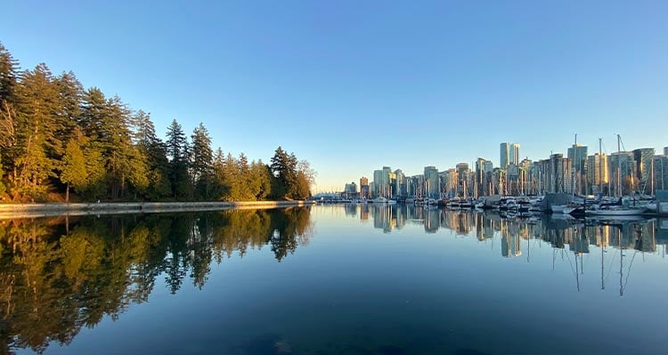 A view of the water between a forested park and high-rises in the city.