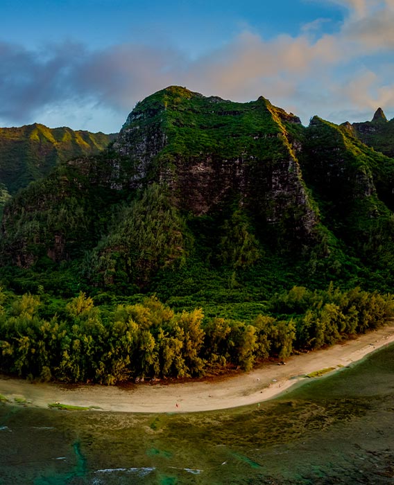 Lush green forest and mountains over a beach.