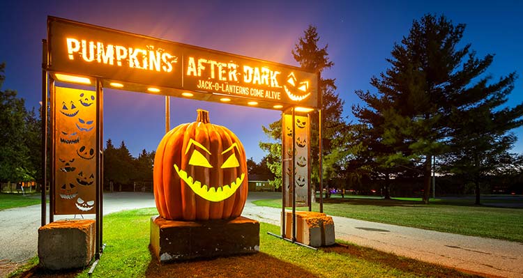 Pumpkins After Dark entry arch with large jack-o-lantern at night