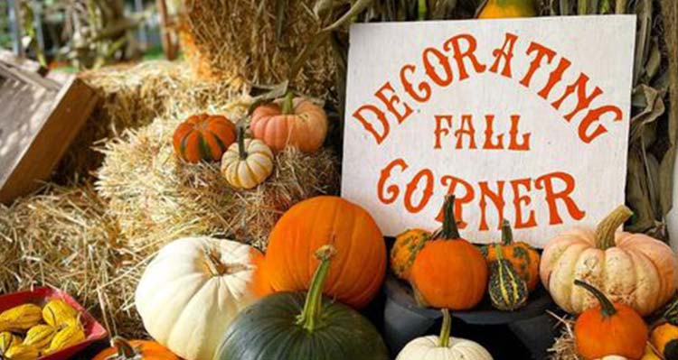 Multi-coloured pumpkins sit in hay with a sign that says "Decorating Fall Corner""
