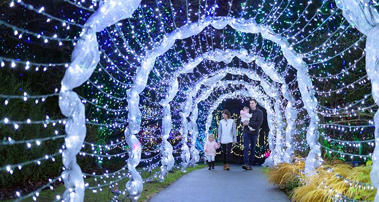 A young family walks through a tunnel of string lights at night.