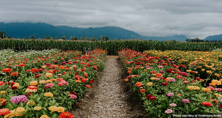 Greendale Acres with flower beds and crops split by a walking path.