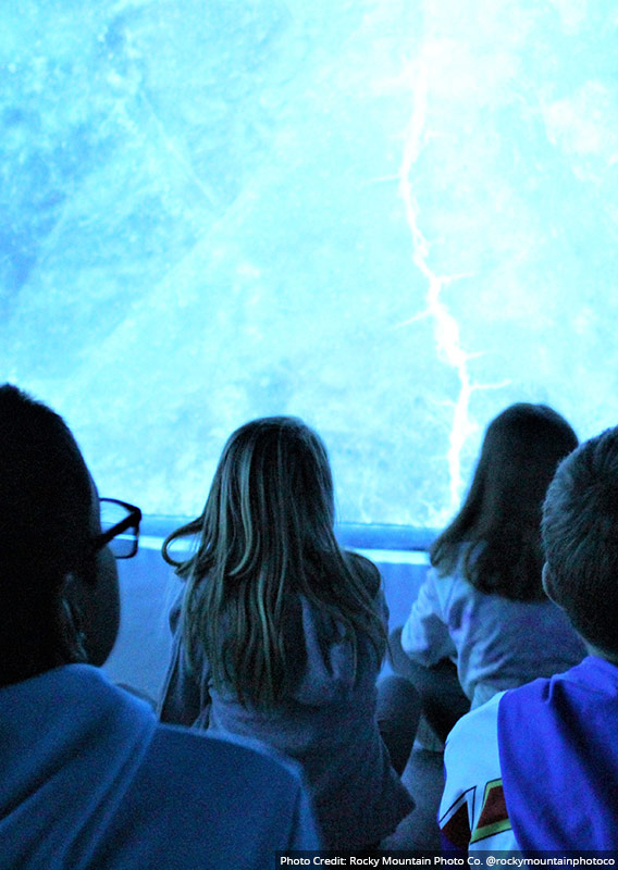 Image of children seated looking at Flyover screen