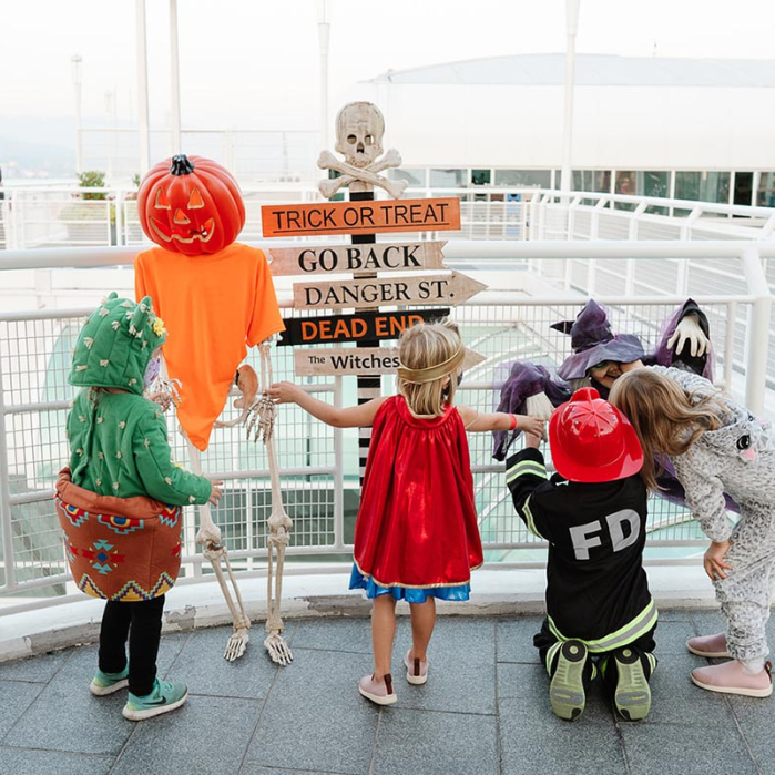 A Halloween illustration featuring HARIBO candies and bear.