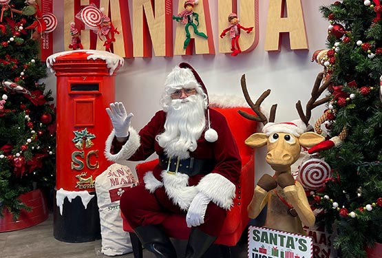 Santa sitting among decorated Christmas trees and other decor.